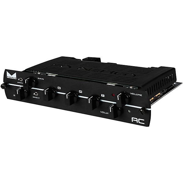 Synergy SYN-20IR Tube Amp Head and Morgan AC Module Bundle