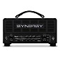 Synergy SYN-20IR Tube Amp Head and Bogner Ecstasy Module Bundle thumbnail