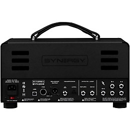 Synergy SYN-20IR Tube Amp Head and Bogner Ecstasy Module Bundle