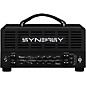 Synergy SYN-20IR Tube Amp Head and Bogner Ecstasy Module Bundle