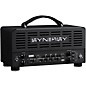 Synergy SYN-20IR Tube Amp Head and Friedman BE-Deluxe Module Bundle