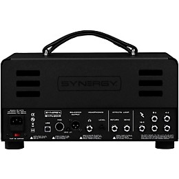 Synergy SYN-20IR Tube Amp Head and Friedman BE-Deluxe Module Bundle