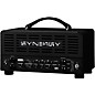 Synergy SYN-20IR Tube Amp Head and Friedman BE-Deluxe Module Bundle