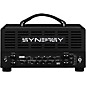 Synergy SYN-20IR Tube Amp Head and Friedman BE-Deluxe Module Bundle