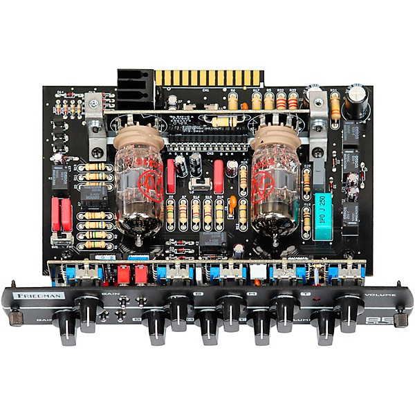 Synergy SYN-20IR Tube Amp Head and Friedman BE-Deluxe Module Bundle