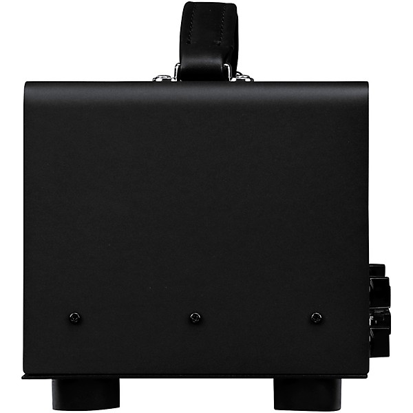 Synergy SYN-20IR Tube Amp Head and Pittbull Ultra-Lead Module Bundle