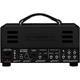 Synergy SYN-20IR Tube Amp Head and Friedman DS Module Bundle