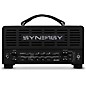 Synergy SYN-20IR Tube Amp Head and Soldano SLO II Module Bundle thumbnail