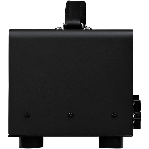 Synergy SYN-20IR Tube Amp Head and Synergy IICP Module Bundle