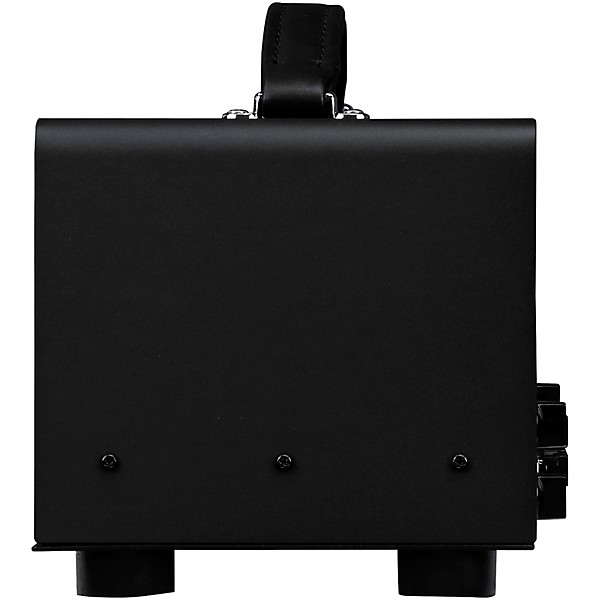 Synergy SYN-20IR Tube Amp Head and Synergy BMAN Module Bundle