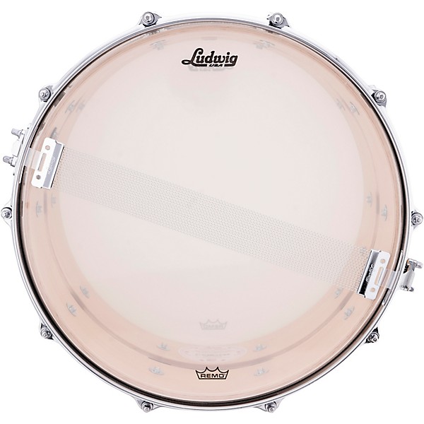 Ludwig Maple Coliseum Snare Drum 14 x 8 in.