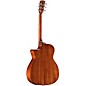 Alvarez AG60CE Performer Grand Auditorium Acoustic-Electric Guitar Shadowburst
