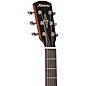 Alvarez AG60CE Performer Grand Auditorium Acoustic-Electric Guitar Shadowburst