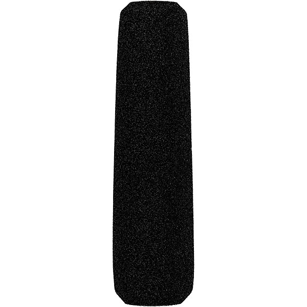 sE Electronics sE6160 Supercardioid Lobar Shotgun Condenser Microphone Matched Pair