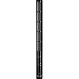 sE Electronics sE6160 Supercardioid Lobar Shotgun Condenser Microphone