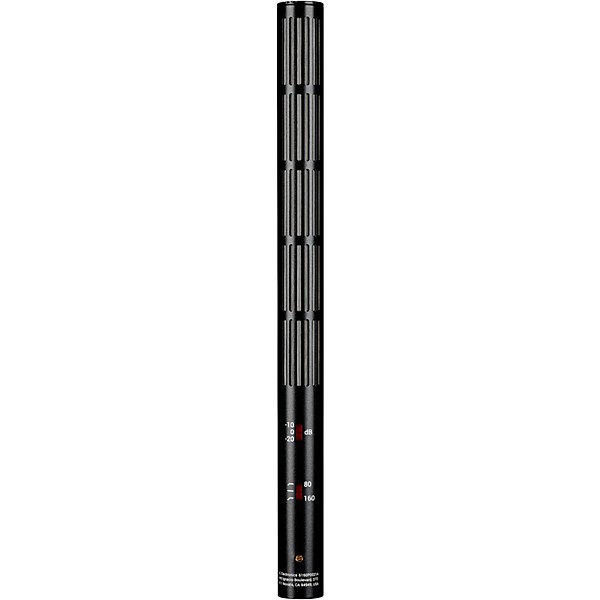 sE Electronics sE6160 Supercardioid Lobar Shotgun Condenser Microphone