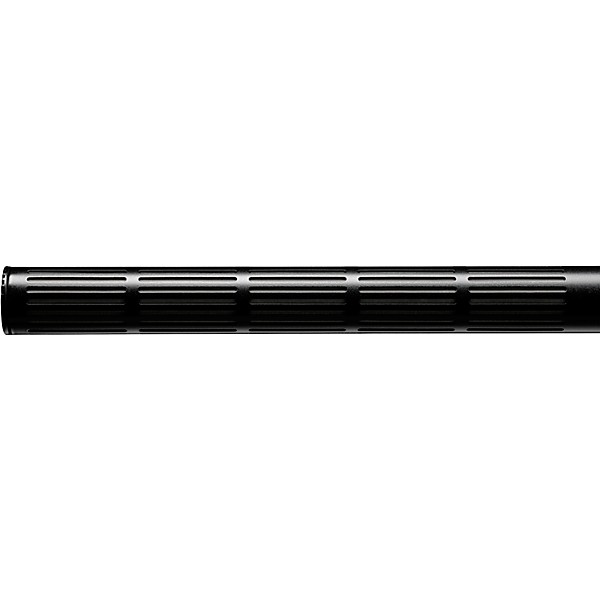 sE Electronics sE6160 Supercardioid Lobar Shotgun Condenser Microphone