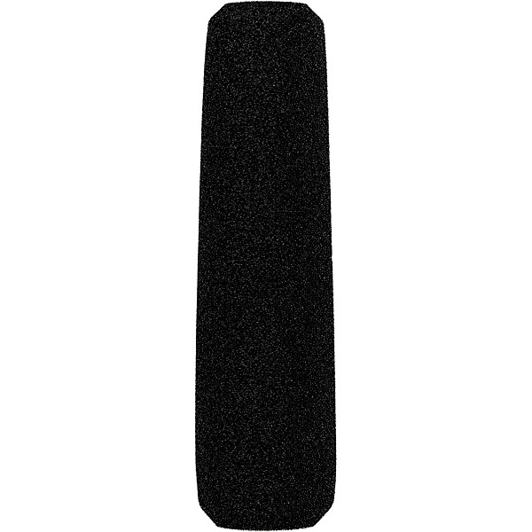 sE Electronics sE6160 Supercardioid Lobar Shotgun Condenser Microphone