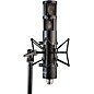 Peluso Microphone Lab P-24 Stereo Large Diaphragm Condenser Tube Microphone Kit. Matte Black