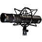 Peluso Microphone Lab P-24 Stereo Large Diaphragm Condenser Tube Microphone Kit. Matte Black