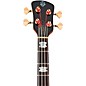 Spector Doug Wimbish Euro 4 Signature Limited-Edition Electric Bass Guitar Amber Stain Relic