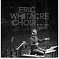 Spitfire Audio Eric Whitacre Choir thumbnail
