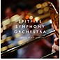Spitfire Audio Symphony Orchestra Plug-in thumbnail
