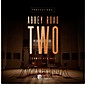 Spitfire Audio Abbey Road Two: Iconic Strings Professional Virtual Instrument Plug-in thumbnail