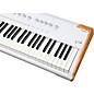 Arturia AstroLab 88 Stage Keyboard