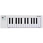 Arturia MicroLab mk3 MIDI Controller White thumbnail
