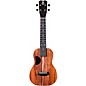 Kanile'a Ukulele D-1 Natural Series Hawaiian Koa Concert Ukulele Natural
