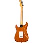 Fender Custom Shop Limited-Edition Roasted Stratocaster Journeyman Relic with DLX Closet Classic Electric Guitar Aged Natural