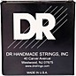 DR Strings VERITAS Uncoated Accurate Core Technology Acoustic Guitar Strings 6-Pack Custom Light (11 - 50)