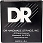 DR Strings VERITAS Uncoated Accurate Core Technology Acoustic Guitar Strings 6-Pack Light (12-54)