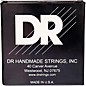 DR Strings VERITAS Uncoated Accurate Core Technology Electric Guitar Strings 6-Pack Light (9-42)
