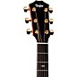 Taylor 114ce Sunset Blvd Grand Auditorium Acoustic-Electric Guitar Sunset Edgeburst