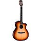 Taylor 214ce-N Plus Sunset Blvd Nylon-String Grand Auditorium Acoustic-Electric Guitar Sunset Edgeburst