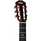 Taylor 214ce-N Plus Sunset Blvd Nylon-String Grand Auditorium Acoustic-Electric Guitar Sunset Edgeburst