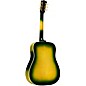 Gibson Dealer Select Hummingbird Original 5A Flamed Maple Acoustic-Electric Guitar - Iguana Burst