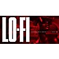 EastWest LO-FI VST Plug-in