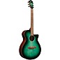 Ibanez AEG70 Flamed Maple Top Grand Concert Acoustic-Electric Guitar Pack Emerald Burst