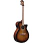 Ibanez AEG70 Flamed Maple Top Grand Concert Acoustic-Electric Guitar Pack Tiger Burst