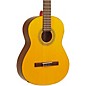 Lucero LC100 Nylon-String Classical Acoustic Guitar Pack Natural