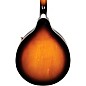 Mitchell AM100VS A-Style Mandolin Pack Vintage Sunburst