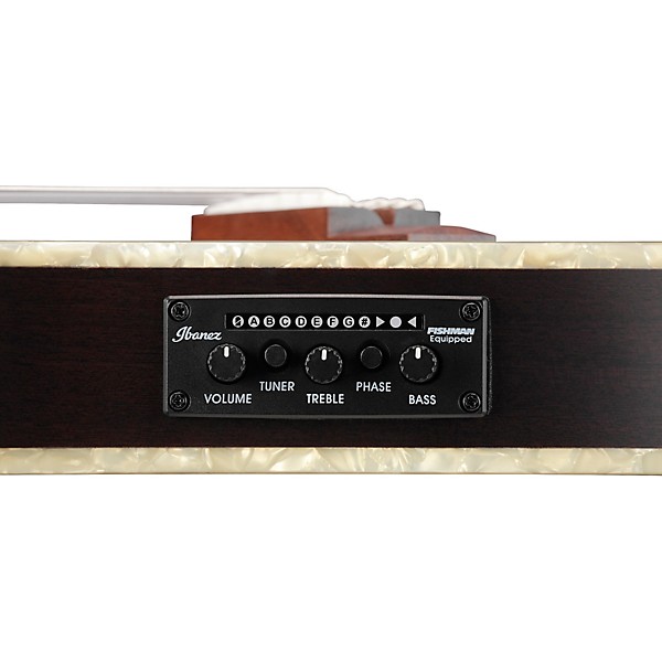 Ibanez TOD10N Tim Henson Signature Nylon-String Acoustic-Electric Guitar Pack Black Flat