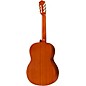 Cordoba C5 Nylon-String Classical Acoustic Guitar Pack Natural