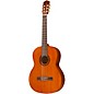 Cordoba C5 Nylon-String Classical Acoustic Guitar Pack Natural