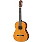 Yamaha CG102 Nylon-String Classical Acoustic Guitar Pack Natural