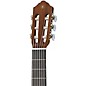 Yamaha CG102 Nylon-String Classical Acoustic Guitar Pack Natural