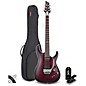 Schecter Guitar Research C-1 Platinum FR-Sustaniac Electric Guitar Kit thumbnail